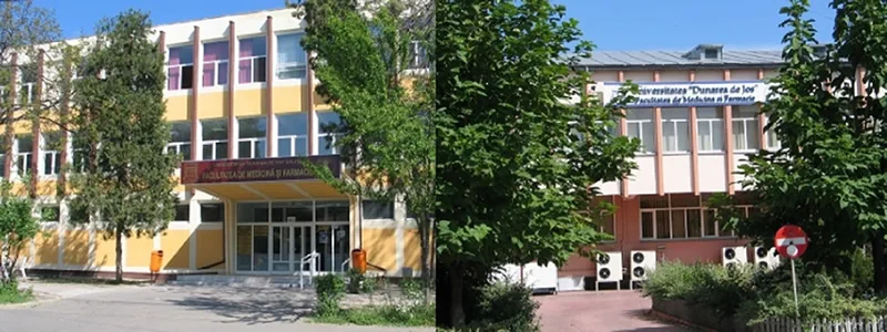 Simulare a examenului de admitere la Facultatea de Medicină şi Farmacie