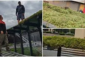 Stații de tramvai „verzi” în Arad