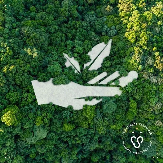 Proiectul SUSCOMNET – Orașe durabile, comunități durabile