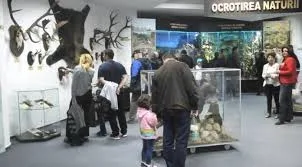 Anul 2025 - anul accesului gratuit la cultură în județ, pentru toți băcăuanii