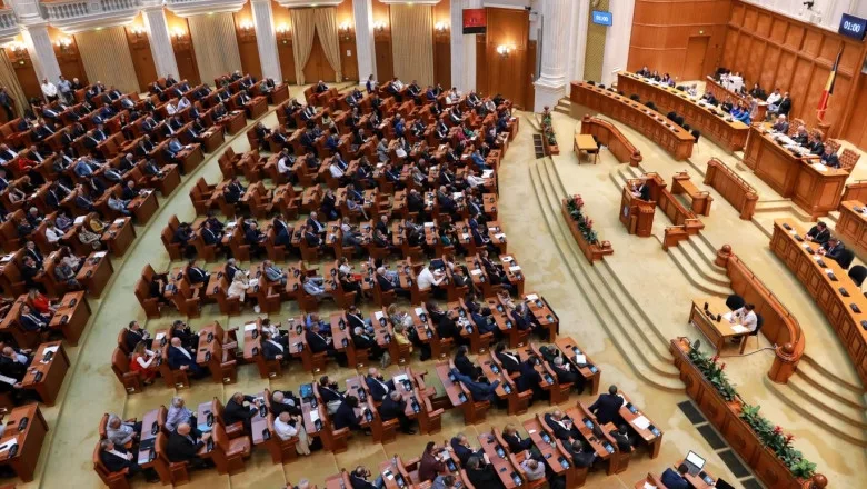 „România fără violență”. O comisie care va ancheta cazurile din România, înființată în Parlament