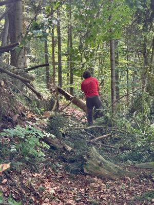 Proiect Salvamont Harghita de întreținere trasee turistice