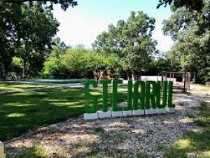 Piscina Stejarul - o oază de liniște și relaxare în mijlocul pădurii