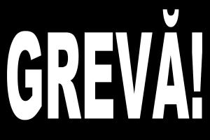 Asociația Comunelor anunță grevă de avertisment în peste 1.500 de primării