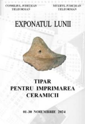 Exponatul lunii noiembrie la Muzeul Județean