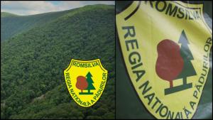 Decizia în instanță. Retrocedarea a peste 40.000 de hectare de pădure din județul Bacău, anulată