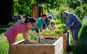 Susținem inițiativele cetățenilor pentru revitalizarea spațiilor publice!