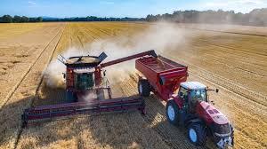 România domină piața agricolă europeană –exporturi record și locul 1 la cereale, potrivit Comisiei Europene