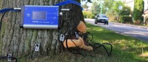 Tomograful sonic Picus, pentru depistarea problemelor interne ale copacilor