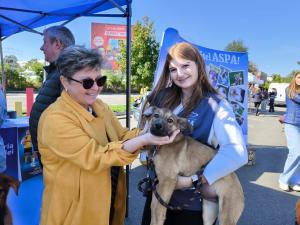 Ziua Internațională a Animalelor în București