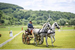 Concursul de atelaje de la Olteni