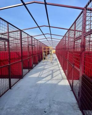 Capacitatea de cazare a adăpostului de câini ASPA Mihăilești mărită cu 160 de locuri