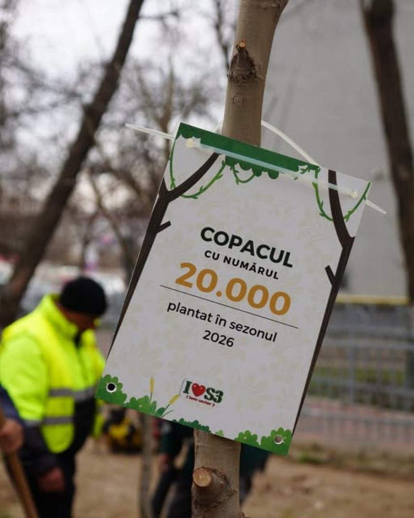 20.000 de copaci plantați în Sectorul 3