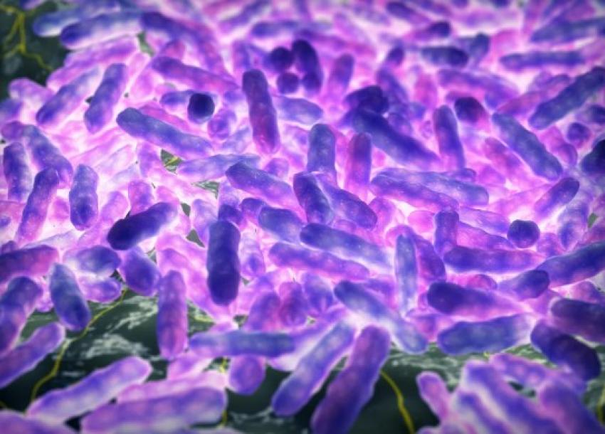 Primele cazuri suspecte de lepră în România după patru decenii