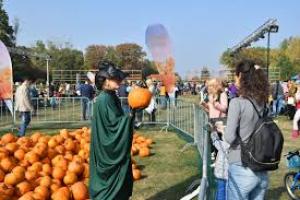 O toamnă în culori portocalii-arămii: dovleacul, vedeta Titan Pumpkin Fest