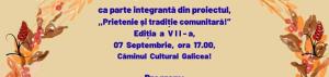Proiectul anual “Satul meu, vatră frumoasă” în Vâlcea