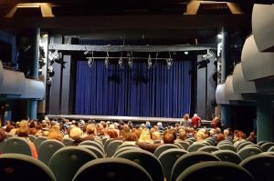 Prejudiciu uriaș la Teatrul Lucia Sturdza-Bulandra